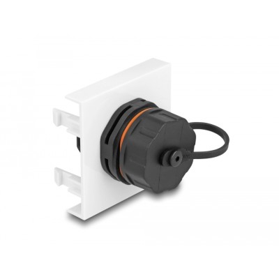 Delock Easy 45 Module Network RJ45 Cat.6A, 45 x 45 mm 2