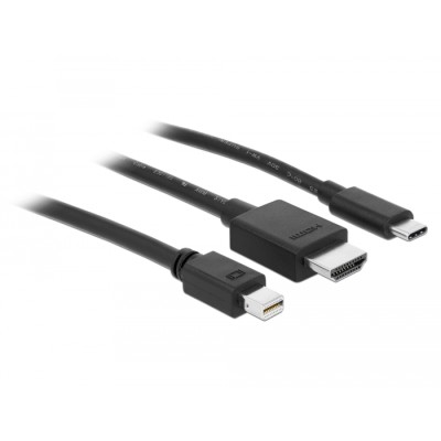 Delock USB-C™, HDMI or mini DisplayPort to 4K HDMI Adapter Cable 1.8 m 2
