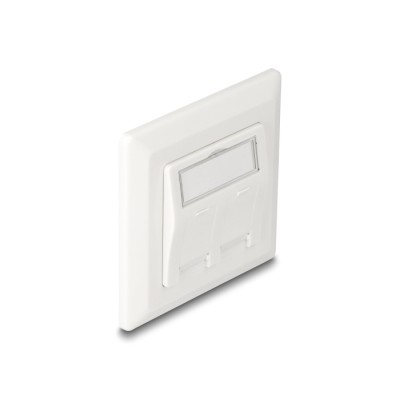 Delock Keystone Wall Outlet 2 port