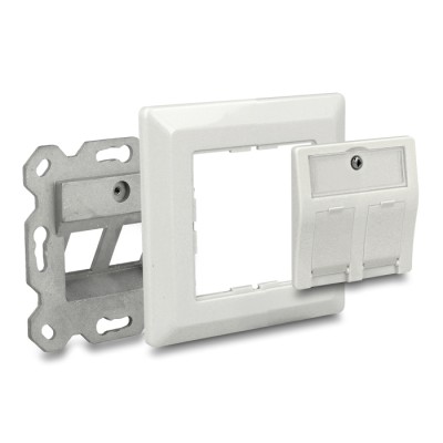 Delock Keystone Wall Outlet 2 port 2
