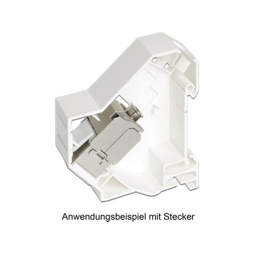 Delock Keystone Mounting for DIN rail