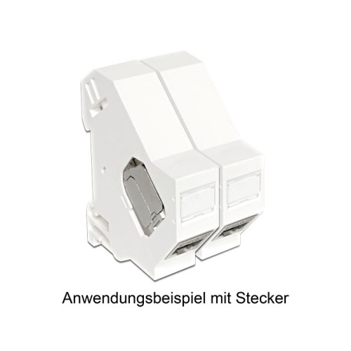 Delock Keystone Mounting for DIN rail