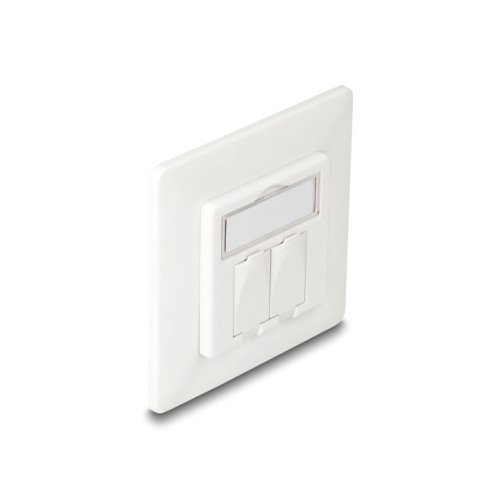 Delock Keystone Wall Outlet 2 Port compact