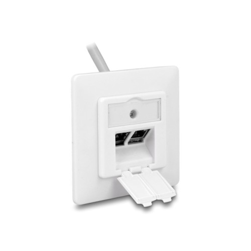Delock Keystone Wall Outlet 2 Port compact