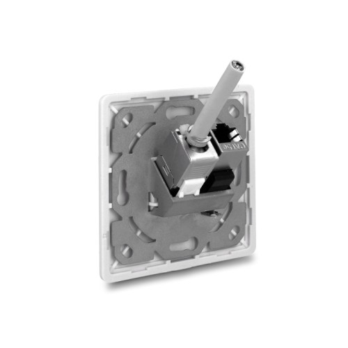 Delock Keystone Wall Outlet 2 Port compact