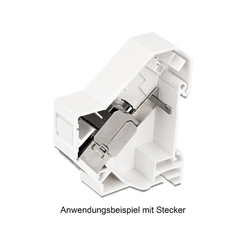 Delock Keystone Mounting for DIN rail with grounding