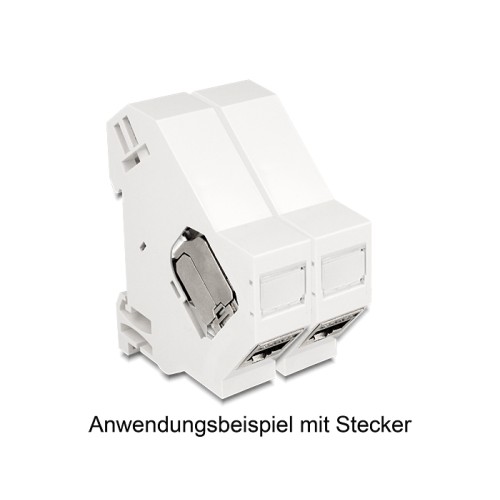 Delock Keystone Mounting for DIN rail with grounding