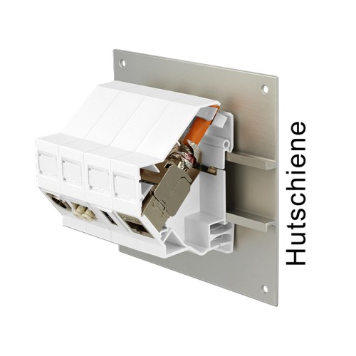 Delock Keystone Mounting for DIN rail with grounding
