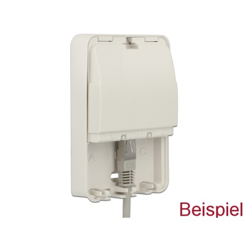 Delock Keystone Surface Mounted Box 3 Port closed