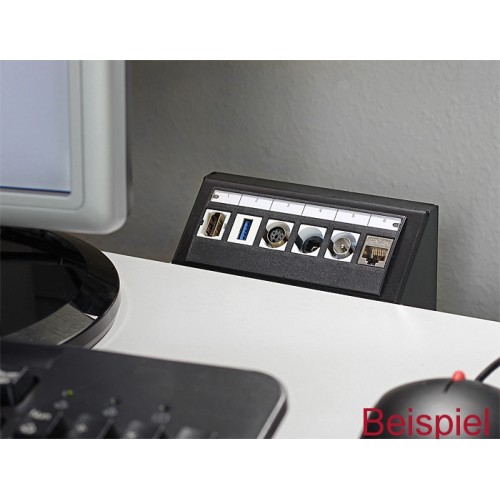 Delock Keystone Multimedia Panel 6 Port black
