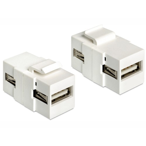 Delock Keystone Module USB 2.0 A female  USB 2.0 A female white