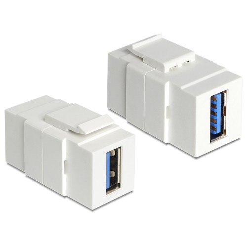Delock Keystone Module USB 5 Gbps Type-A female to Type-A female white
