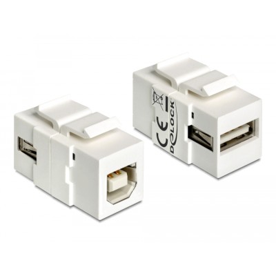 Delock Keystone Module USB 2.0 A female  USB 2.0 B female white