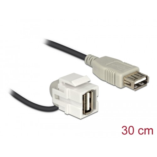 Delock Keystone Module USB 2.0 A female 110°  USB 2.0 A female with cable white