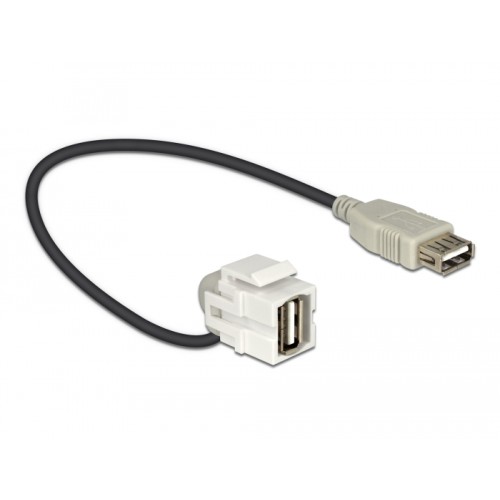 Delock Keystone Module USB 2.0 A female 110°  USB 2.0 A female with cable white