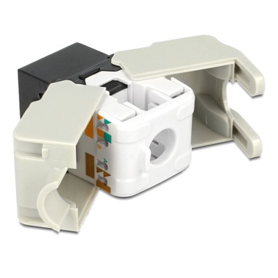 Delock Keystone Module RJ45 jack  LSA Cat.6 UTP black 2