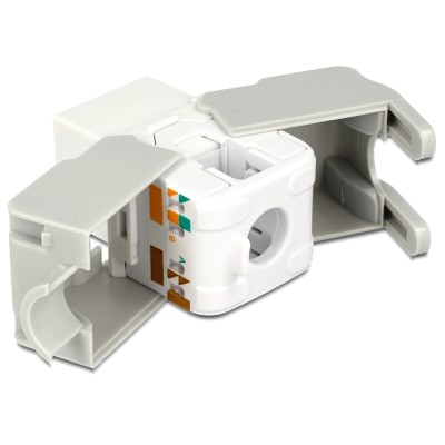 Delock Keystone Module RJ45 jack  LSA Cat.6 UTP white 2