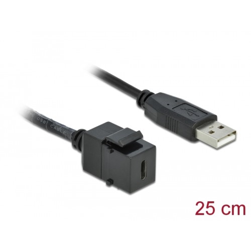 Delock Keystone Module USB 2.0 C female  USB 2.0 A male with cable