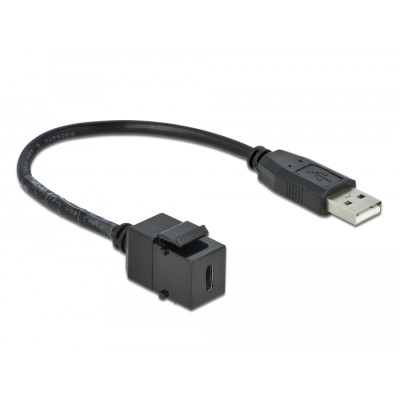 Delock Keystone Module USB 2.0 C female  USB 2.0 A male with cable 2