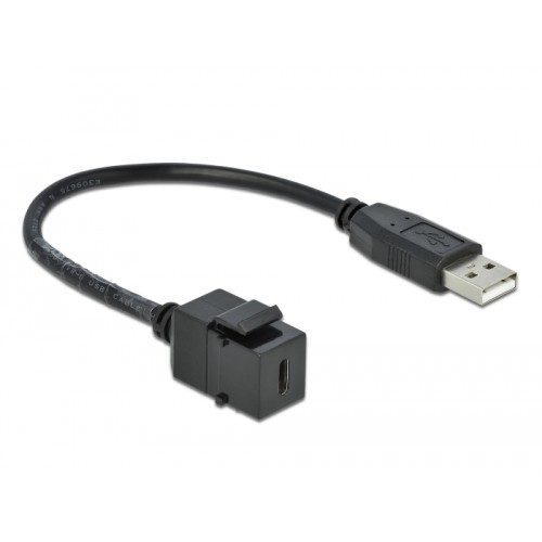 Delock Keystone Module USB 2.0 C female  USB 2.0 A male with cable