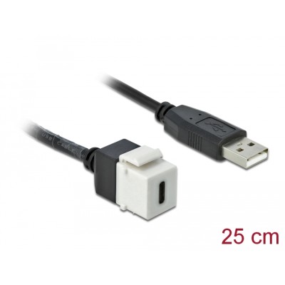 Delock Keystone Module USB 2.0 C female  USB 2.0 A male with cable