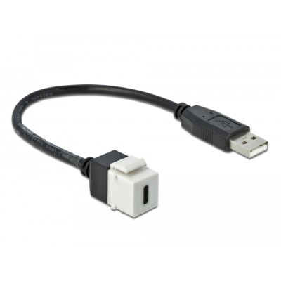 Delock Keystone Module USB 2.0 C female > USB 2.0 A male with cable 2