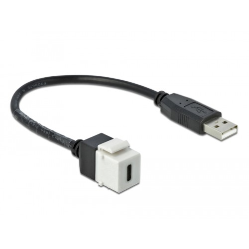 Delock Keystone Module USB 2.0 C female > USB 2.0 A male with cable