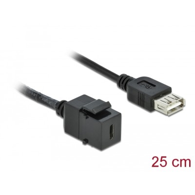 Delock Keystone Module USB 2.0 C female  USB 2.0 A female with cable
