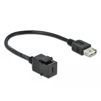 Delock Keystone Module USB 2.0 C female > USB 2.0 A female with cable 2