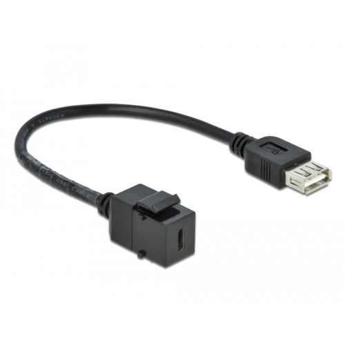 Delock Keystone Module USB 2.0 C female  USB 2.0 A female with cable