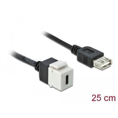 Delock Keystone Module USB 2.0 C female  USB 2.0 A female with cable
