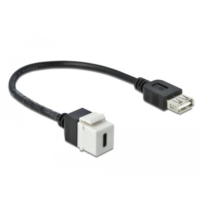 Delock Keystone Module USB 2.0 C female  USB 2.0 A female with cable 2