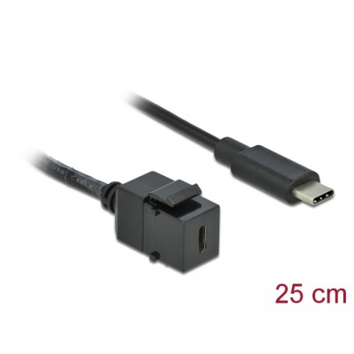 Delock Keystone Module USB 5 Gbps Type-C™ female to USB Type-C™ male with cable 25 cm