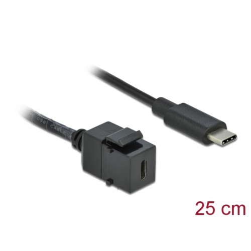 Delock Keystone Module USB 5 Gbps Type-C™ female to USB Type-C™ male with cable 25 cm