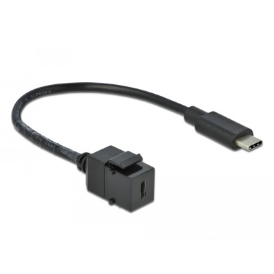 Delock Keystone Module USB 5 Gbps Type-C™ female to USB Type-C™ male with cable 25 cm 2
