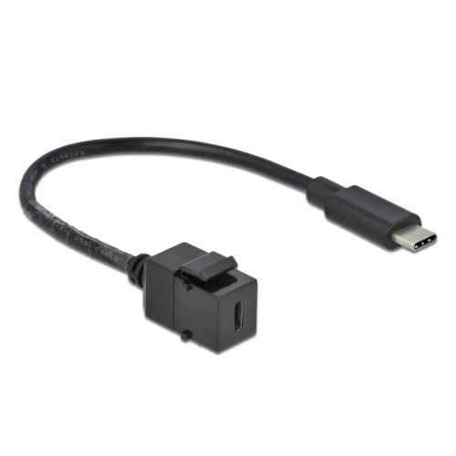 Delock Keystone Module USB 5 Gbps Type-C™ female to USB Type-C™ male with cable 25 cm