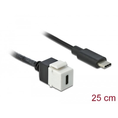 Delock Keystone Module USB 5 Gbps Type-C™ female to USB Type-C™ male with cable 25 cm