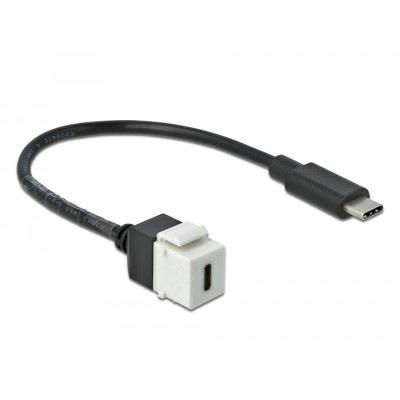 Delock Keystone Module USB 5 Gbps Type-C™ female to USB Type-C™ male with cable 25 cm 2
