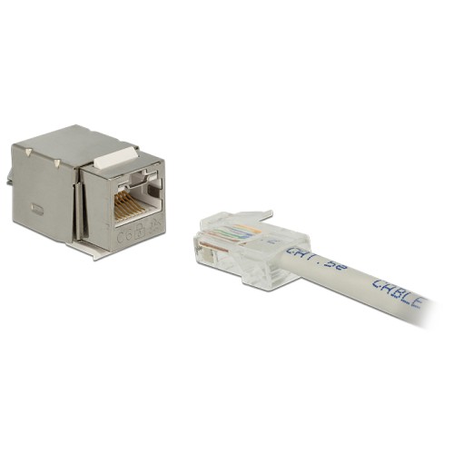 Delock Keystone Module RJ45 Secure Cat.6  LSA