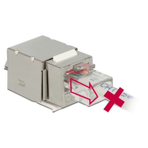 Delock Keystone Module RJ45 Secure Cat.6  LSA