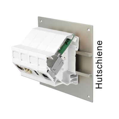 Delock Keystone Mounting for DIN rail 180° 2