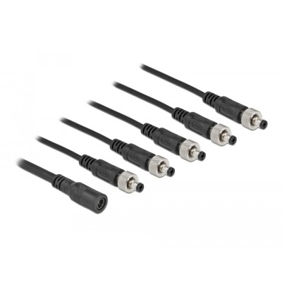 Delock DC Splitter Cable 5.5 x 2.1 mm 1 x female to 5 x male screwable 2