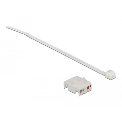 Delock Cable Connector RJ45 jack to Cat.6A LSA with protective cap waterproof