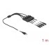 Delock Cable USB Type-A male to 4 x DC 5.5 x 2.1 mm female with switch 1 m