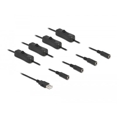 Delock Cable USB Type-A male to 4 x DC 5.5 x 2.1 mm female with switch 1 m 2