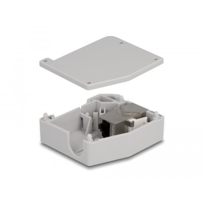 Delock DIN rail Adapter with Keystone Module RJ45 jack to RJ45 jack Cat.6A 2