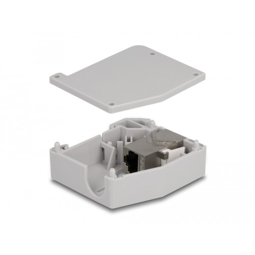 Delock DIN rail Adapter with Keystone Module RJ45 jack to RJ45 jack Cat.6A