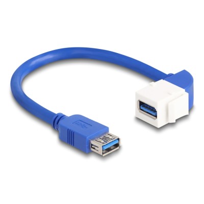 Delock Keystone Module Cable USB 5 Gbps Type-A female to USB Type-A female 90° angled 20 cm blue 2
