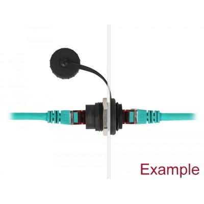 Delock RJ45 Cat.6A built-in connector with protective dust cap 2