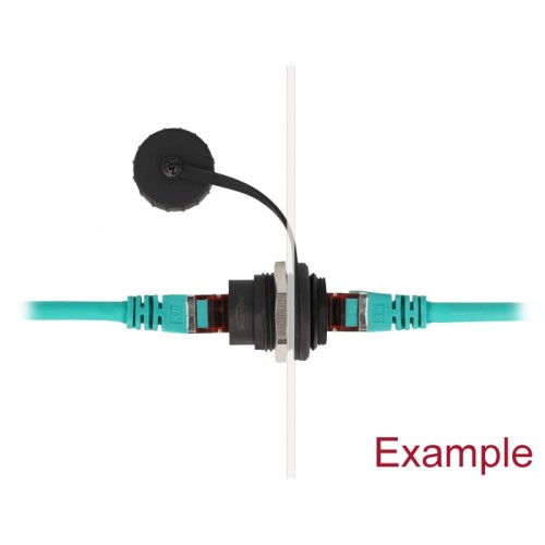 Delock RJ45 Cat.6A built-in connector with protective dust cap